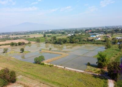 Land for sale 23 Rai 374 Sqw 9 plot separate  with chanod at Koonkong ,Hangdong ,Chiang Mai