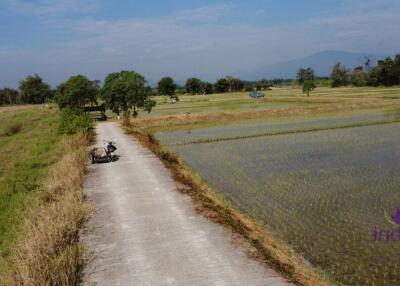 Land for sale 23 Rai 374 Sqw 9 plot separate  with chanod at Koonkong ,Hangdong ,Chiang Mai