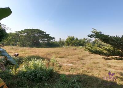 Lovely 2 bedroom bungalow with a large garden for sale in Luang Nuea, Doi Saket, Chiang Mai. Near Tao Garden.