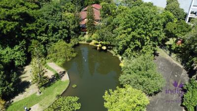 Large property for sale in Nong Han, Sansai. Ideal for develpment as a retirement home, resort or restaurant.