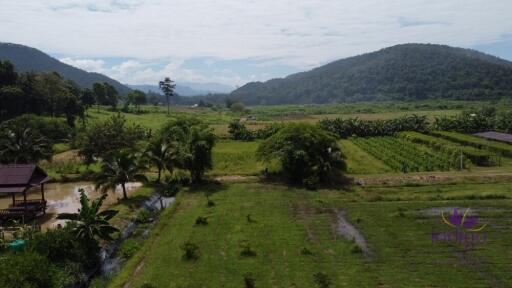 Countryside living. Riverfront 4 Bedroom teak house on a farm surrounded by beautiful mountain view. Chiang Dao, Chiang Mai