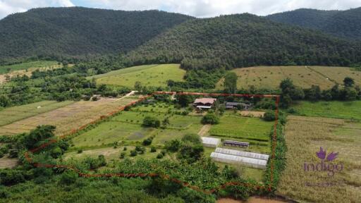 Countryside living. Riverfront 4 Bedroom teak house on a farm surrounded by beautiful mountain view. Chiang Dao, Chiang Mai