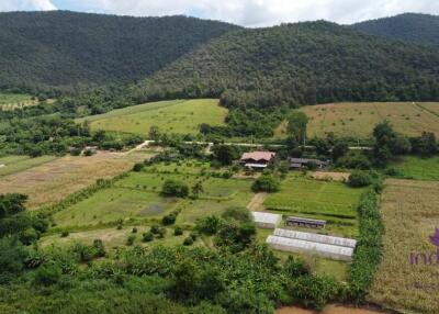 Countryside living. Riverfront 4 Bedroom teak house on a farm surrounded by beautiful mountain view. Chiang Dao, Chiang Mai