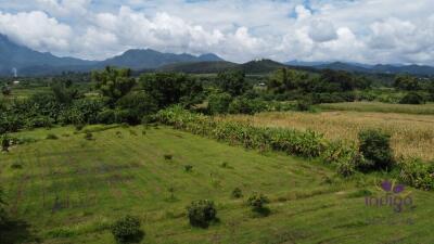 Countryside living. Riverfront 4 Bedroom teak house on a farm surrounded by beautiful mountain view. Chiang Dao, Chiang Mai