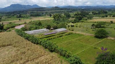 Countryside living. Riverfront 4 Bedroom teak house on a farm surrounded by beautiful mountain view. Chiang Dao, Chiang Mai