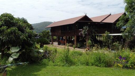 Countryside living. Riverfront 4 Bedroom teak house on a farm surrounded by beautiful mountain view. Chiang Dao, Chiang Mai