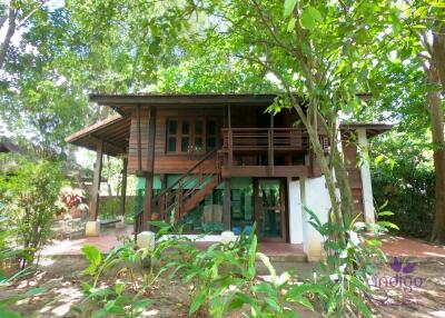 Charming countryside retreat with lots of  mature trees and traditional Thai rice barns at Sanpatong Chiang Mai