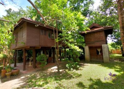 Charming countryside retreat with lots of  mature trees and traditional Thai rice barns at Sanpatong Chiang Mai