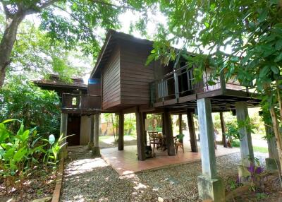 Charming countryside retreat with lots of  mature trees and traditional Thai rice barns at Sanpatong Chiang Mai