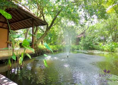 Charming countryside retreat with lots of  mature trees and traditional Thai rice barns at Sanpatong Chiang Mai