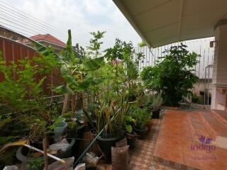 Single storey 2 bedroom house for sale in Sansai, Chiang Mai