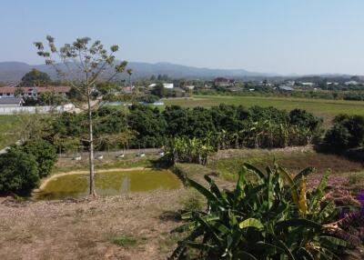 House for sale 3 bedroom land size 3 Rai 2 Ngan 55 sqw Sansai ,Chiang Mai