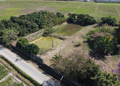 House for sale 3 bedroom land size 3 Rai 2 Ngan 55 sqw Sansai ,Chiang Mai