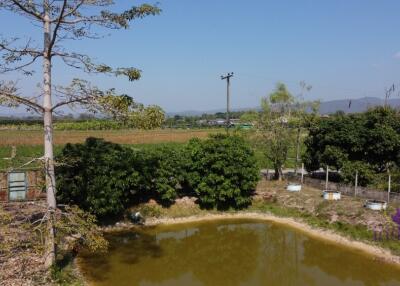 House for sale 3 bedroom land size 3 Rai 2 Ngan 55 sqw Sansai ,Chiang Mai