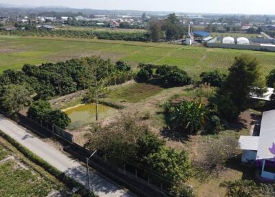 House for sale 3 bedroom land size 3 Rai 2 Ngan 55 sqw Sansai ,Chiang Mai