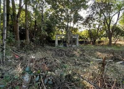 Land for sale 148 Sqw, near Mae Jo University , Paphai ,Sansai , Chiang Mai