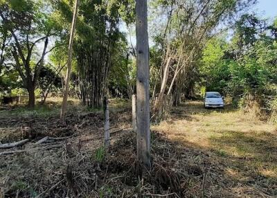 Land for sale 148 Sqw, near Mae Jo University , Paphai ,Sansai , Chiang Mai