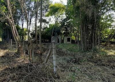 Land for sale 148 Sqw, near Mae Jo University , Paphai ,Sansai , Chiang Mai