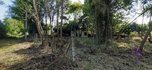 Land for sale 148 Sqw, near Mae Jo University , Paphai ,Sansai , Chiang Mai