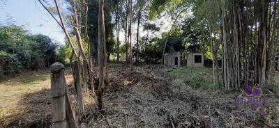 Land for sale 148 Sqw, near Mae Jo University , Paphai ,Sansai , Chiang Mai