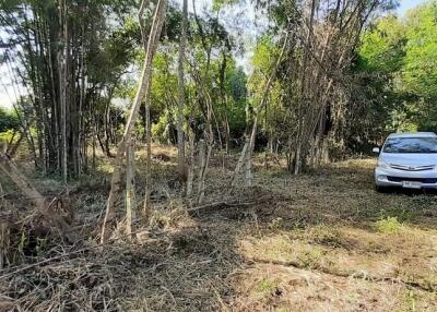 Land for sale 148 Sqw, near Mae Jo University , Paphai ,Sansai , Chiang Mai