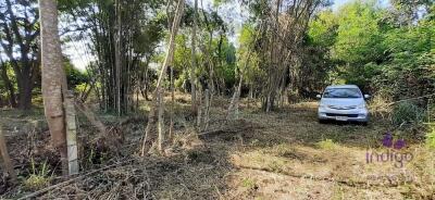 Land for sale 148 Sqw, near Mae Jo University , Paphai ,Sansai , Chiang Mai