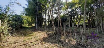 Land for sale 148 Sqw, near Mae Jo University , Paphai ,Sansai , Chiang Mai