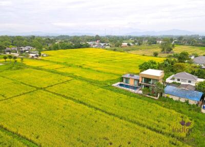 3 Bedroom Pool Villa, Gorgeous Views in Doi Saket