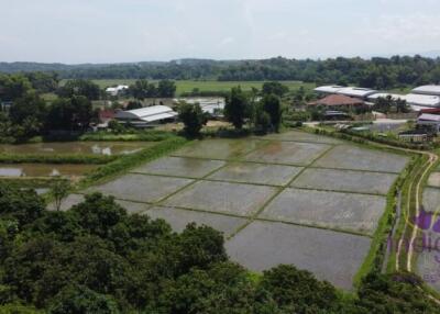 Beautiful sloping plot of land 4 rai 1 ngan 91 wah with amazing view of ricefield and mountains for sale amongst nature in Saluang, Mae Rim.