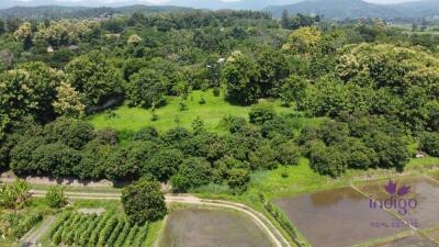 Beautiful sloping plot of land 4 rai 1 ngan 91 wah with amazing view of ricefield and mountains for sale amongst nature in Saluang, Mae Rim.