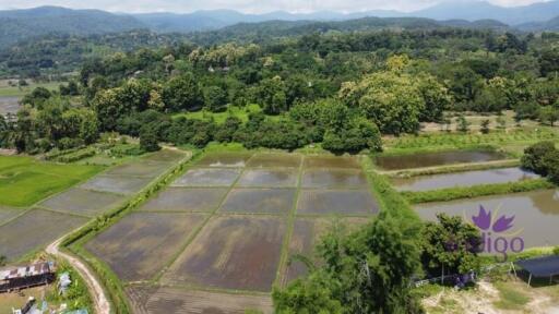 Beautiful sloping plot of land 4 rai 1 ngan 91 wah with amazing view of ricefield and mountains for sale amongst nature in Saluang, Mae Rim.