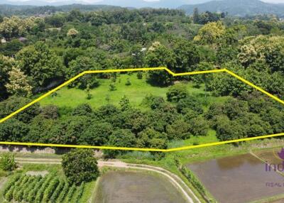 Beautiful sloping plot of land 4 rai 1 ngan 91 wah with amazing view of ricefield and mountains for sale amongst nature in Saluang, Mae Rim.