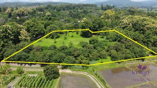 Beautiful sloping plot of land 4 rai 1 ngan 91 wah with amazing view of ricefield and mountains for sale amongst nature in Saluang, Mae Rim.