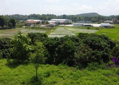 Beautiful sloping plot of land 4 rai 1 ngan 91 wah with amazing view of ricefield and mountains for sale amongst nature in Saluang, Mae Rim.