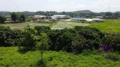 Beautiful sloping plot of land 4 rai 1 ngan 91 wah with amazing view of ricefield and mountains for sale amongst nature in Saluang, Mae Rim.