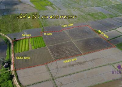 Beautiful rice field land surrounded by mountains land size 5 rai 2 ngan 22 wah in Saluang, Mae Rim, Chiang Mai