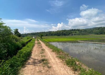 Beautiful rice field land surrounded by mountains land size 5 rai 2 ngan 22 wah in Saluang, Mae Rim, Chiang Mai