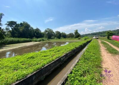 Beautiful rice field land surrounded by mountains land size 5 rai 2 ngan 22 wah in Saluang, Mae Rim, Chiang Mai