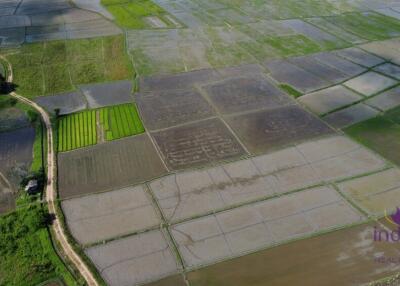 Beautiful rice field land surrounded by mountains land size 5 rai 2 ngan 22 wah in Saluang, Mae Rim, Chiang Mai