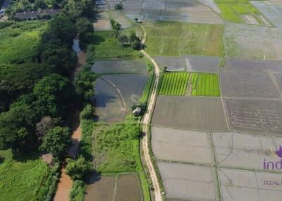 Beautiful rice field land surrounded by mountains land size 5 rai 2 ngan 22 wah in Saluang, Mae Rim, Chiang Mai