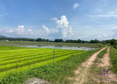 Beautiful rice field land surrounded by mountains land size 5 rai 2 ngan 22 wah in Saluang, Mae Rim, Chiang Mai