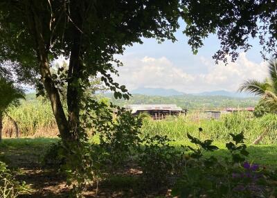 Land with 2 houses Lovely property in Mae Rim countryside ideal as a holiday home or a hobby farm.