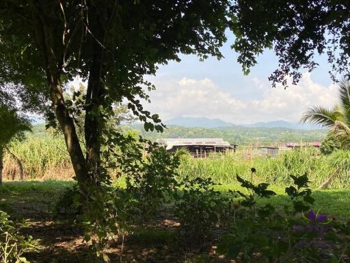 Land with 2 houses Lovely property in Mae Rim countryside ideal as a holiday home or a hobby farm.