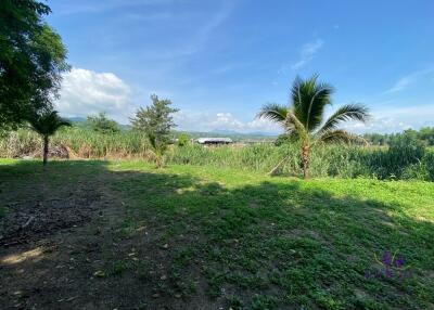 Land with 2 houses Lovely property in Mae Rim countryside ideal as a holiday home or a hobby farm.