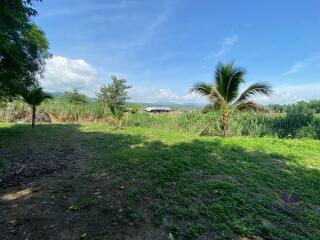 Land with 2 houses Lovely property in Mae Rim countryside ideal as a holiday home or a hobby farm.