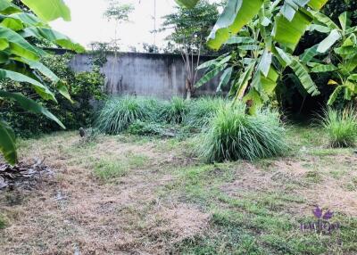 Land for sale 322 SQW from main road around 50 meter, near flower garden tourist attractions Sanphisuea Chiang Mai