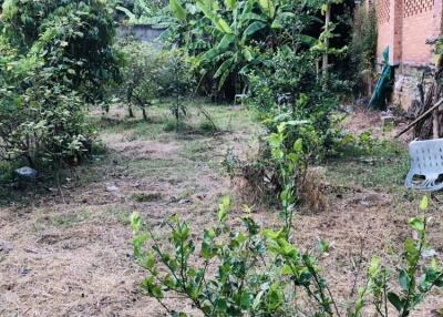 Land for sale 322 SQW from main road around 50 meter, near flower garden tourist attractions Sanphisuea Chiang Mai