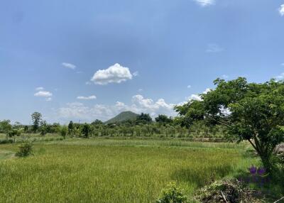 Wonderful established self-sufficient farm for sale with 2 well-built houses in the countryside in Lamphun