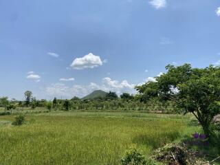 Wonderful established self-sufficient farm for sale with 2 well-built houses in the countryside in Lamphun