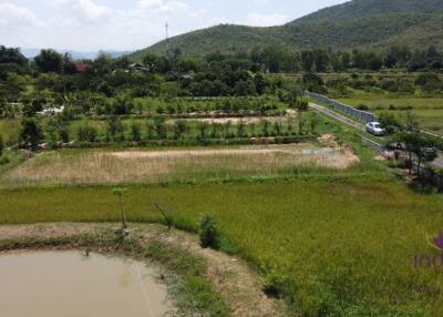 Wonderful established self-sufficient farm for sale with 2 well-built houses in the countryside in Lamphun